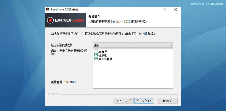 安装 Bandicam 选择组件 - Bandicam（班迪录屏）